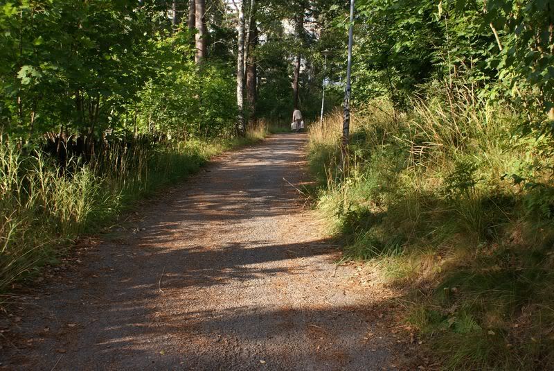 External image