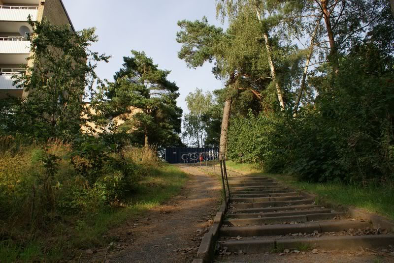 External image