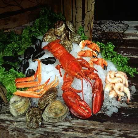 Seafood Pictures, Images and Photos