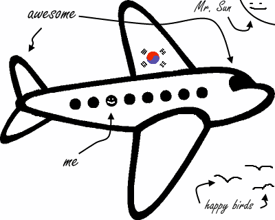 Korean Flight Attendant Airplane