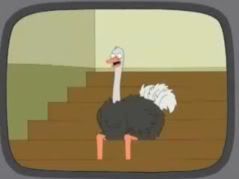 Korean Television Laugh Track Live Ostrich