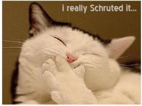 Korean nervous embarrassed laughter laugh Schruted It funny cat