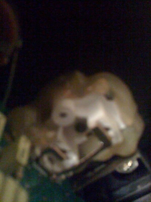 Subwoofer not responding, humming AVS Forum