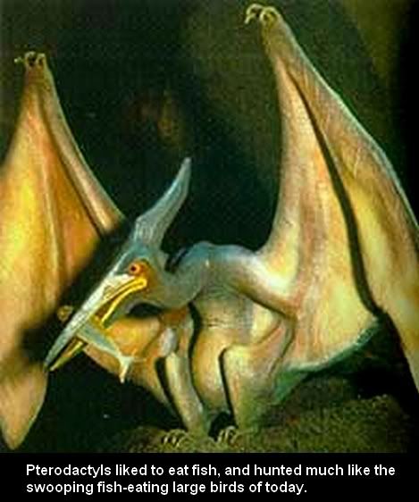 Jurassic Park Pterodactyl