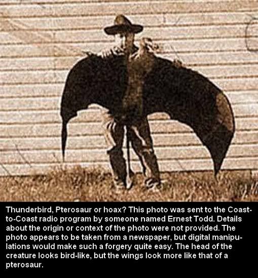 Mysterious Thunderbird Photo