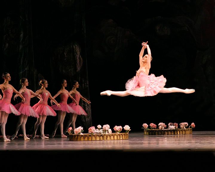 Image hotlink - 'http://i104.photobucket.com/albums/m169/DanceOfTheHeart/Paloma%20Herrera/1_G.jpg' Image hotlink - 'http://i104.photobucket.com/albums/m169/DanceOfTheHeart/Paloma%20Herrera/1_G.jpg'