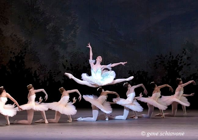 Image hotlink - 'http://i104.photobucket.com/albums/m169/DanceOfTheHeart/Svetlana%20Zakharova/SvetlanazakharovaDonQact2leap.jpg' Image hotlink - 'http://i104.photobucket.com/albums/m169/DanceOfTheHeart/Svetlana%20Zakharova/SvetlanazakharovaDonQact2leap.jpg'