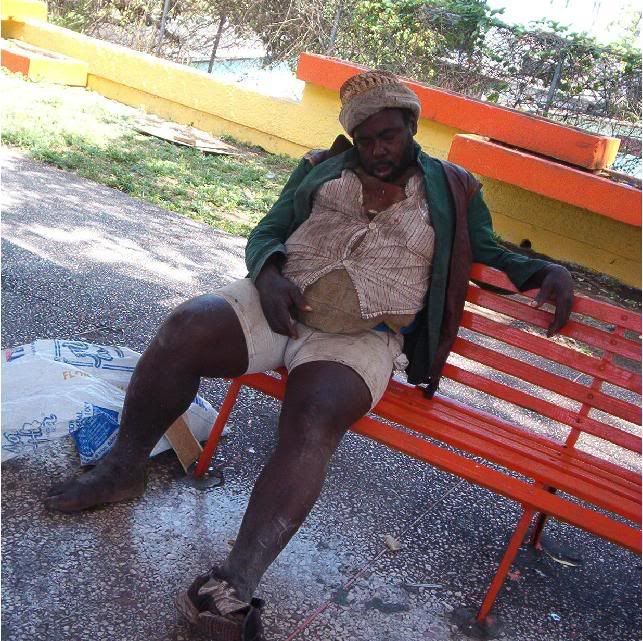 4615.jpg picture by carlitopelolindo