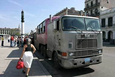 hav-camello.jpg picture by carlitopelolindo