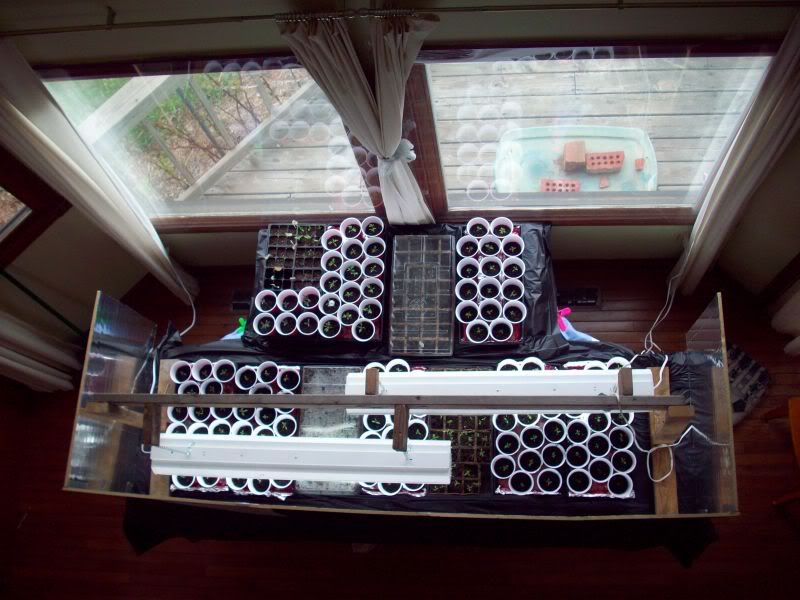 people heating mats V plant heating mats - Homesteading Questions