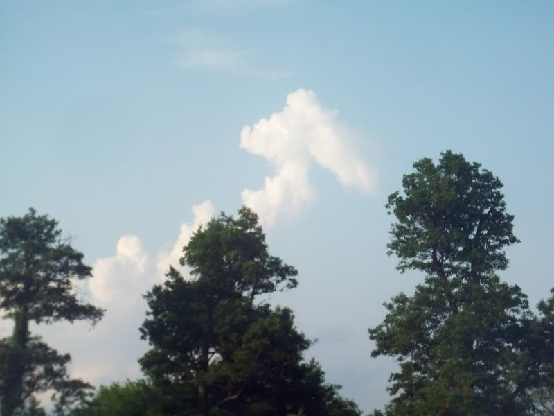 Another pic of the day!! - Homesteading Questions