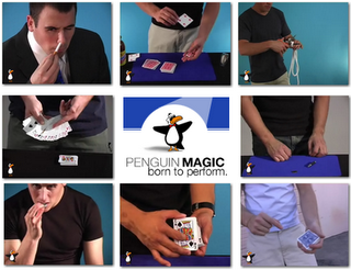 Penguin Magic Videos Pack 1 (12 Videos)