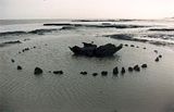 Seahenge photo from megalithic.co.uk