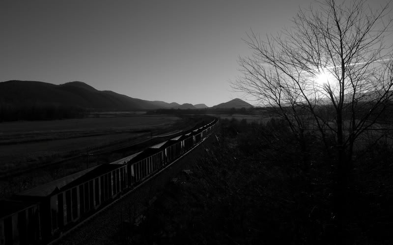 IMAGE: http://i104.photobucket.com/albums/m172/dputz1/CRW_30171.jpg