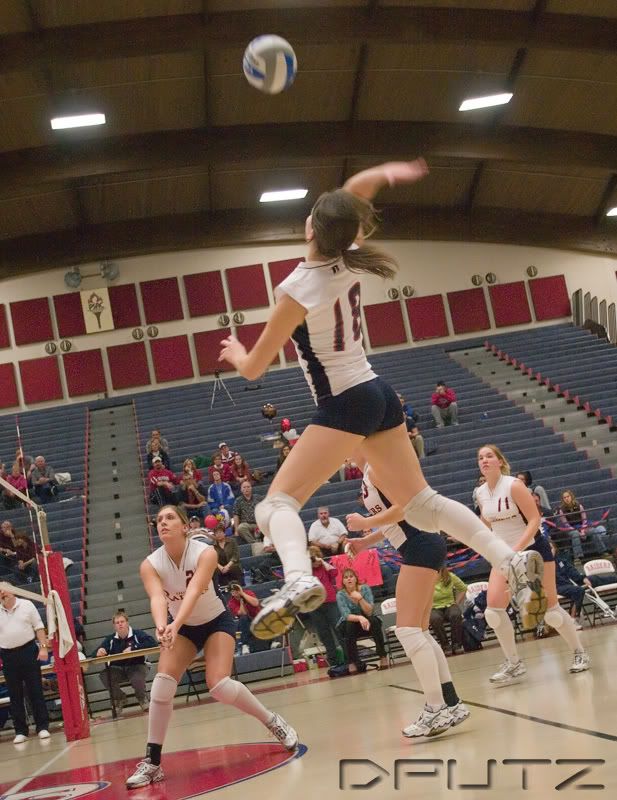 IMAGE: http://i104.photobucket.com/albums/m172/dputz1/CRW_7124.jpg