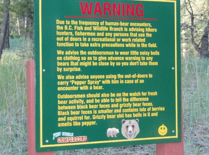 Bear warning