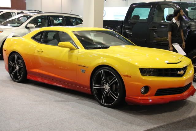 IMAGE: http://i104.photobucket.com/albums/m172/sboy_24/IMG_6363.jpg