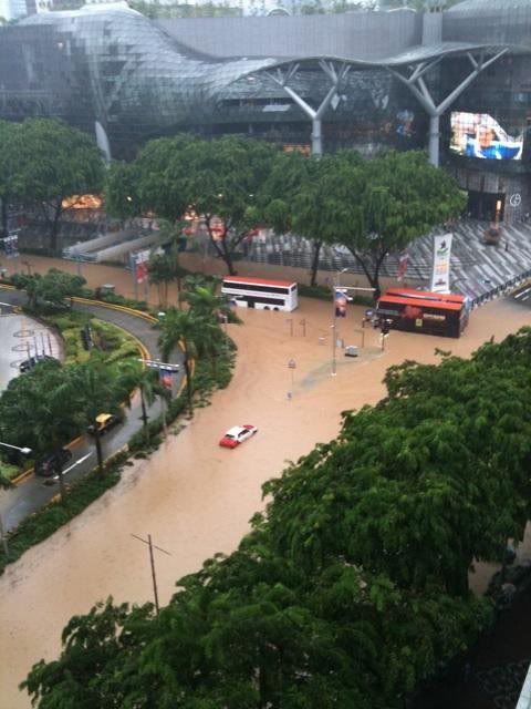 Orchard Floods