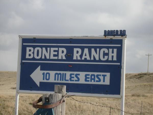 funny sign Pictures, Images and Photos