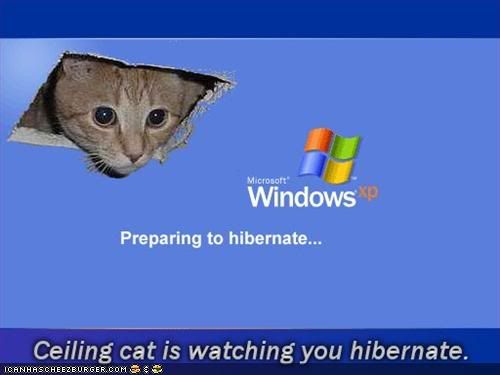 funny-pictures-windows-xp-hibernate.jpg