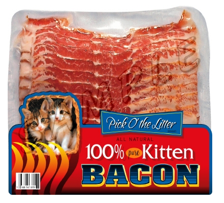 kitten_bacon.png