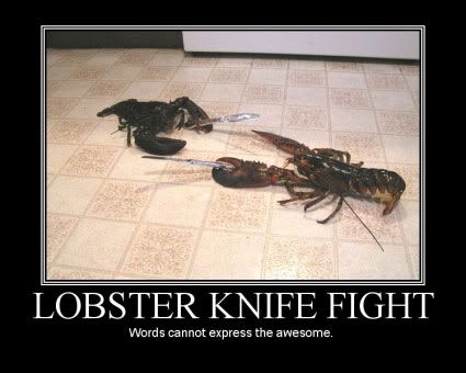 mp-lobster-knife-fight.jpg