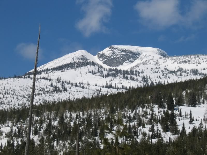 IMG_8439.jpg