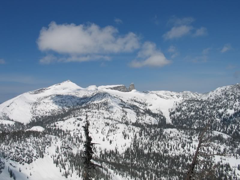 IMG_8441.jpg