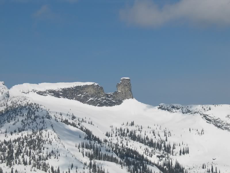 IMG_8442.jpg