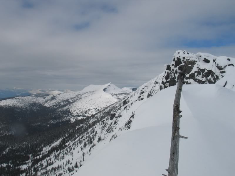 IMG_8465.jpg