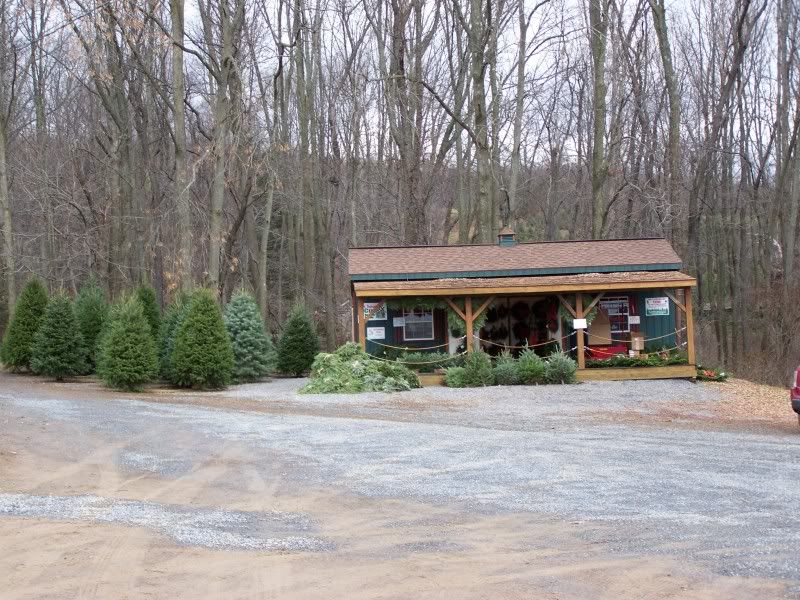 Christmas Tree Farm Visit Crystal Springs, Lehighton (Lansford home