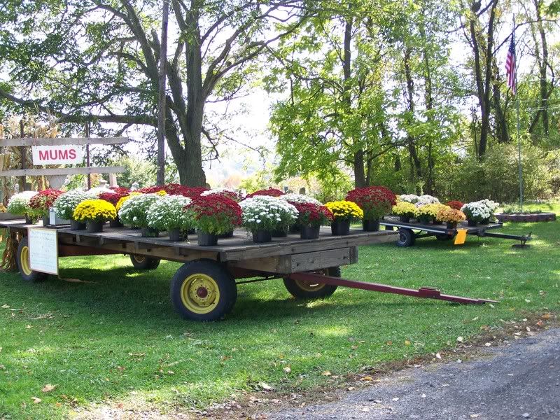 Pocono FALL PICTURES...per CD requests! (homes, centers, garden