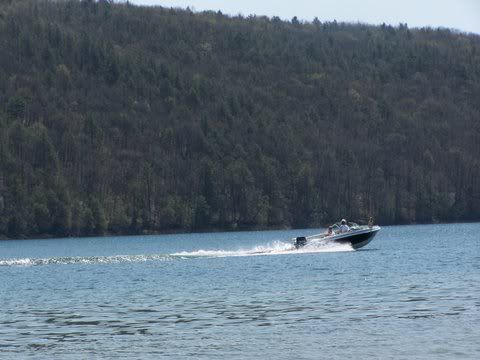 beltzville lake boating nepa swimming today alligators rent advertisements