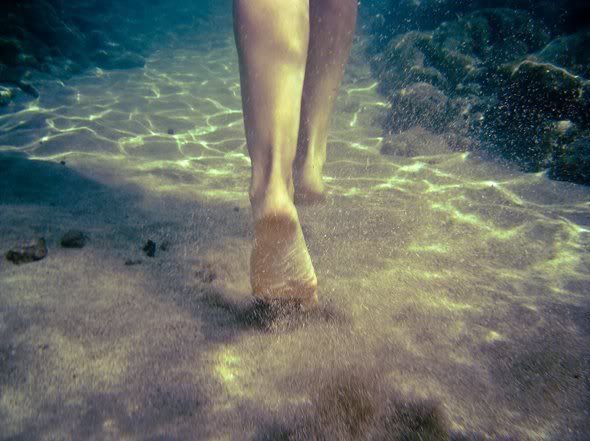 Sand Water River Light Feet Walking Legs Pictures, Images and Photos