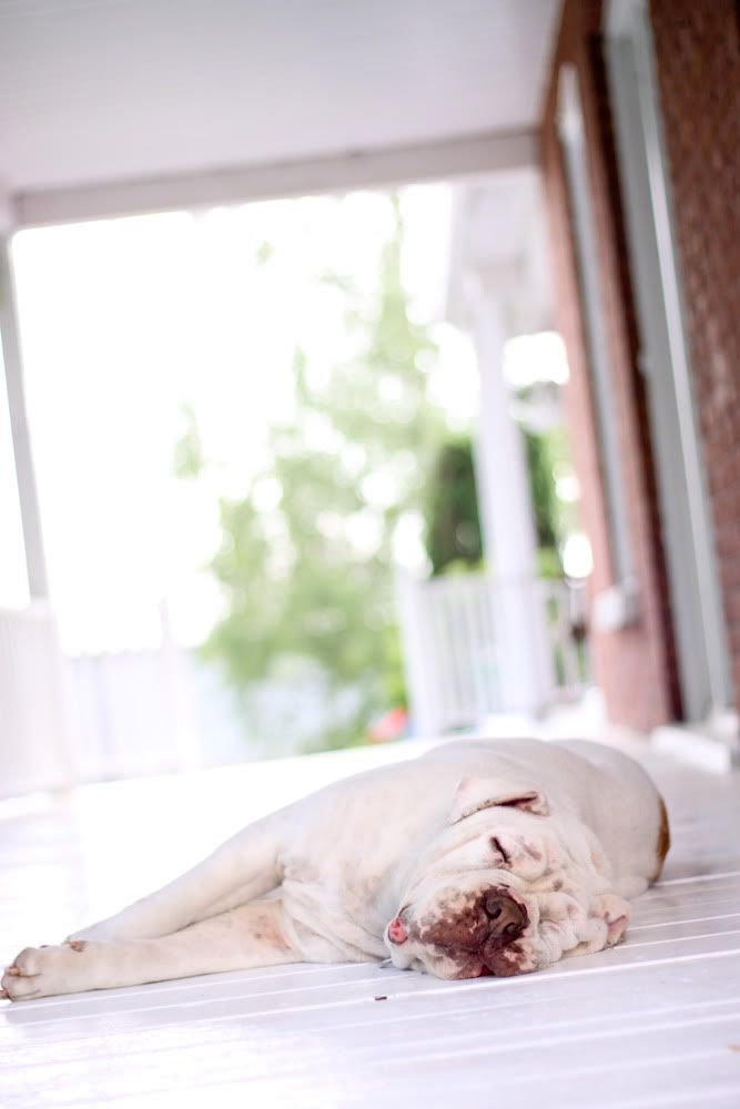 IMAGE: http://i104.photobucket.com/albums/m176/toin9898/IMG_2586.jpg