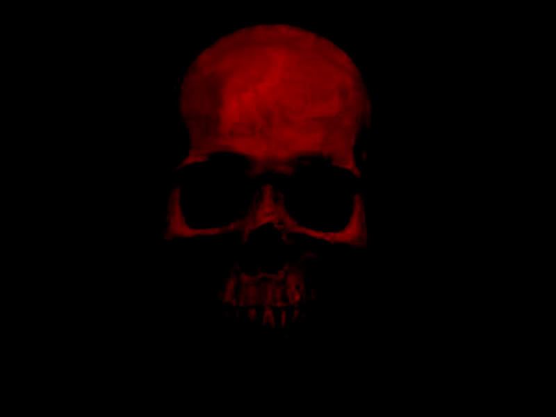 skulls wallpaper. 77%. Red
