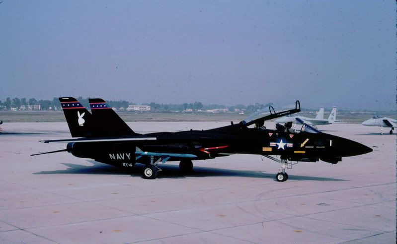 vandy-11614441987edit003-01.jpg