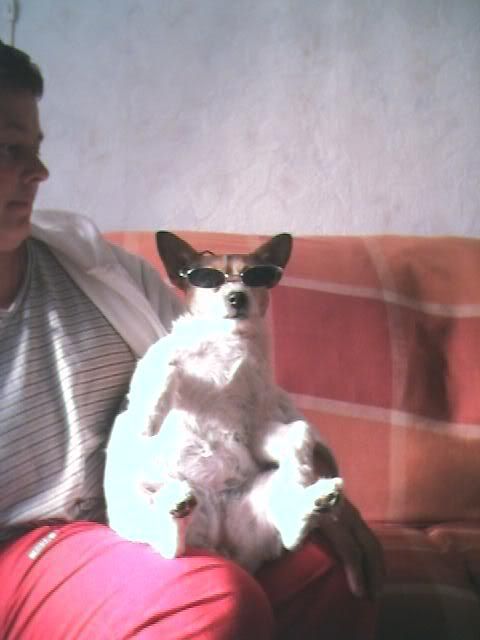 [img width=480 height=640]http://i104.photobucket.com/albums/m180/djsentex/Nieuwefoto9.jpg[/img]