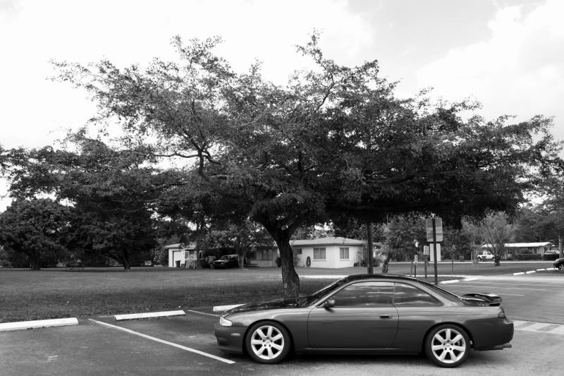 IMAGE: http://i104.photobucket.com/albums/m181/carbinered/IMG_0511.jpg