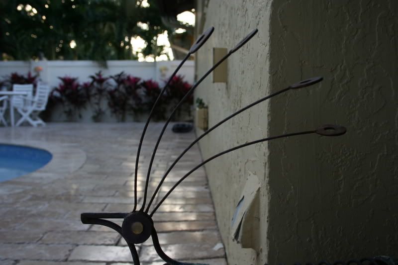 IMAGE: http://i104.photobucket.com/albums/m181/carbinered/XTbackyard021.jpg