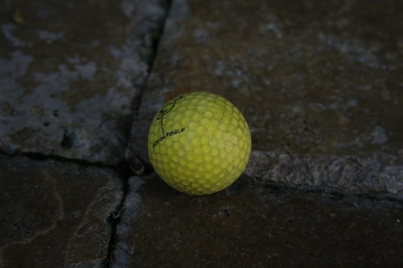 IMAGE: http://i104.photobucket.com/albums/m181/carbinered/XTbackyard026.jpg