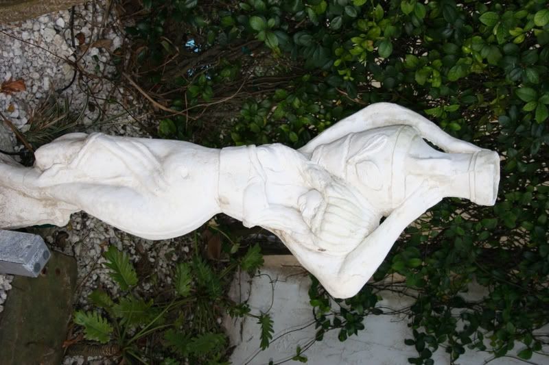 IMAGE: http://i104.photobucket.com/albums/m181/carbinered/XTbackyard028.jpg