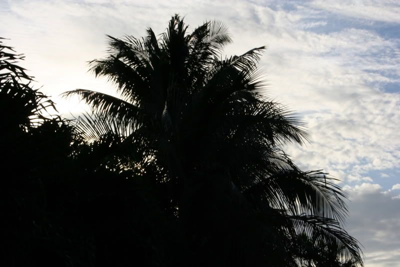 IMAGE: http://i104.photobucket.com/albums/m181/carbinered/XTbackyard031.jpg