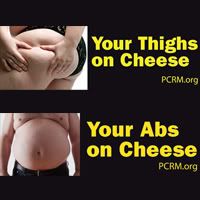cheese-ads-article.jpg