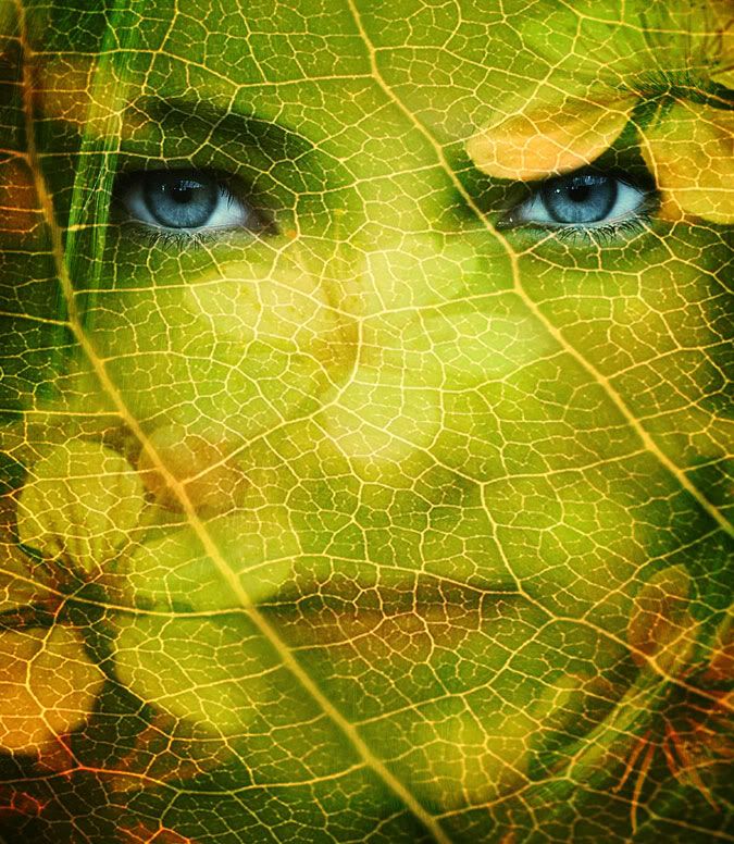 Spring2 by RENOPHOTO