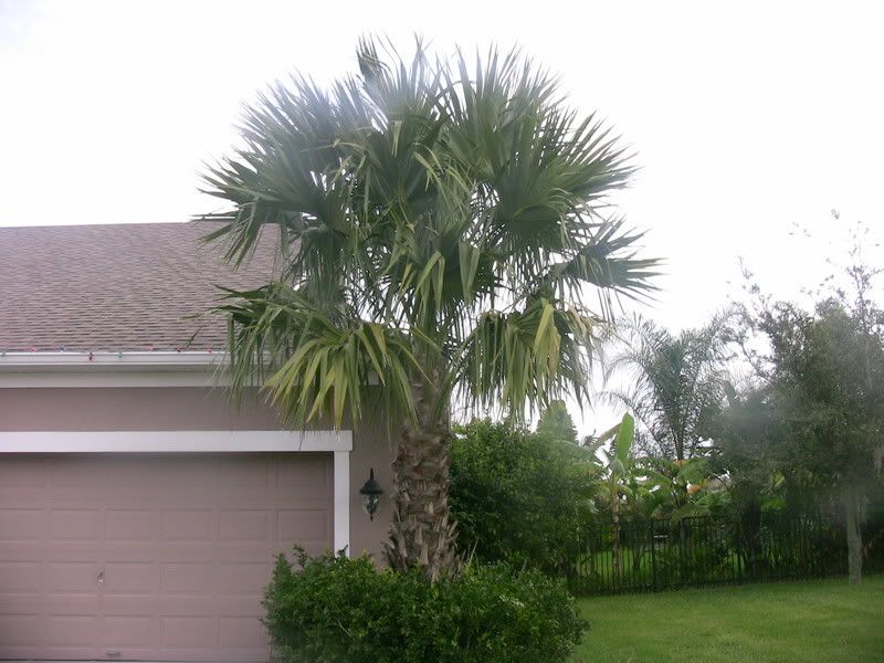 yard109005.jpg