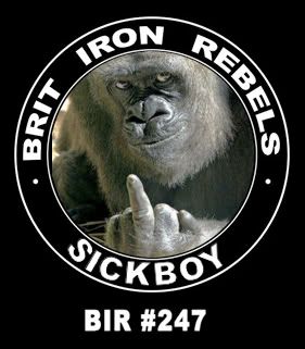 BIR_sg_pic_gorilla.jpg