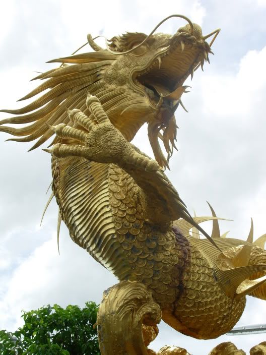 golden dragon Pictures, Images and Photos