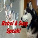 Rebel & Suzy Speak!