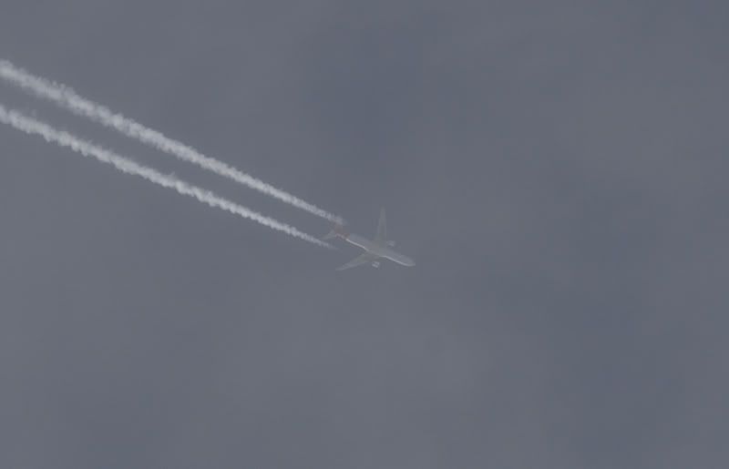 http://i104.photobucket.com/albums/m183/aliencats/Glasgow/241106/overflight/Martinair.jpg